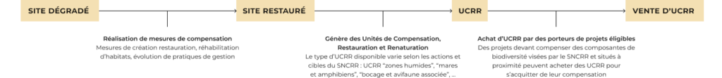 Principe général d'un Site Naturel de Compensation, de Restauration et de Renaturation