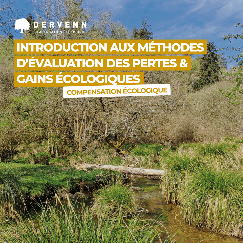 Méthode de dimensionnement pertes et gains écologiques