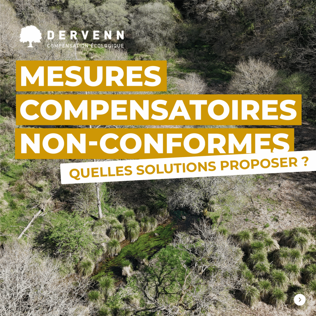 Actions correctives en cas de non-conformité des mesures compensatoires
