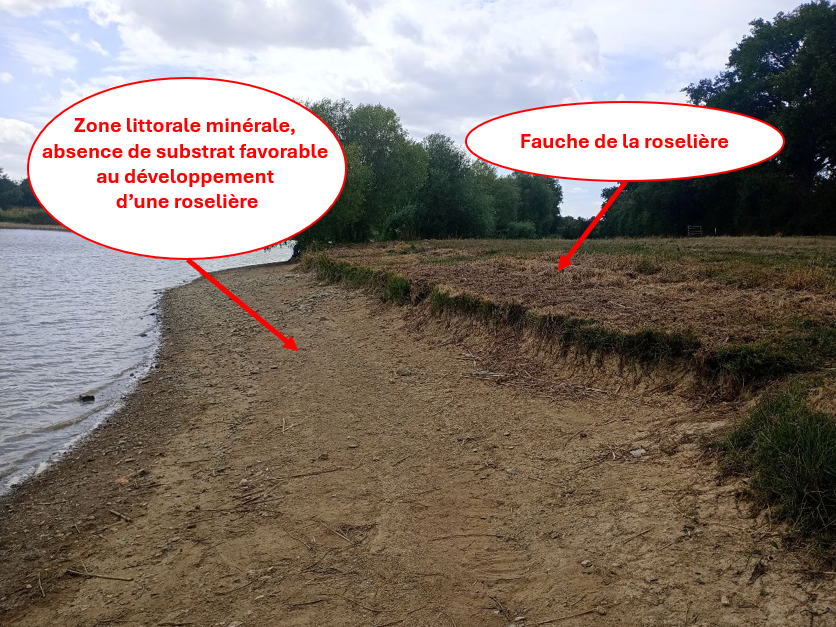 Plan d'eau éligible à la compensation écologique