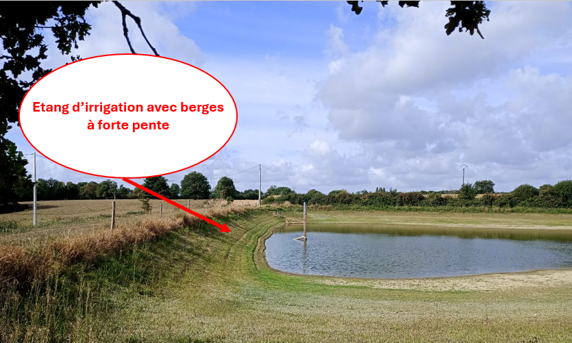 Plan d'eau éligible à la compensation écologique