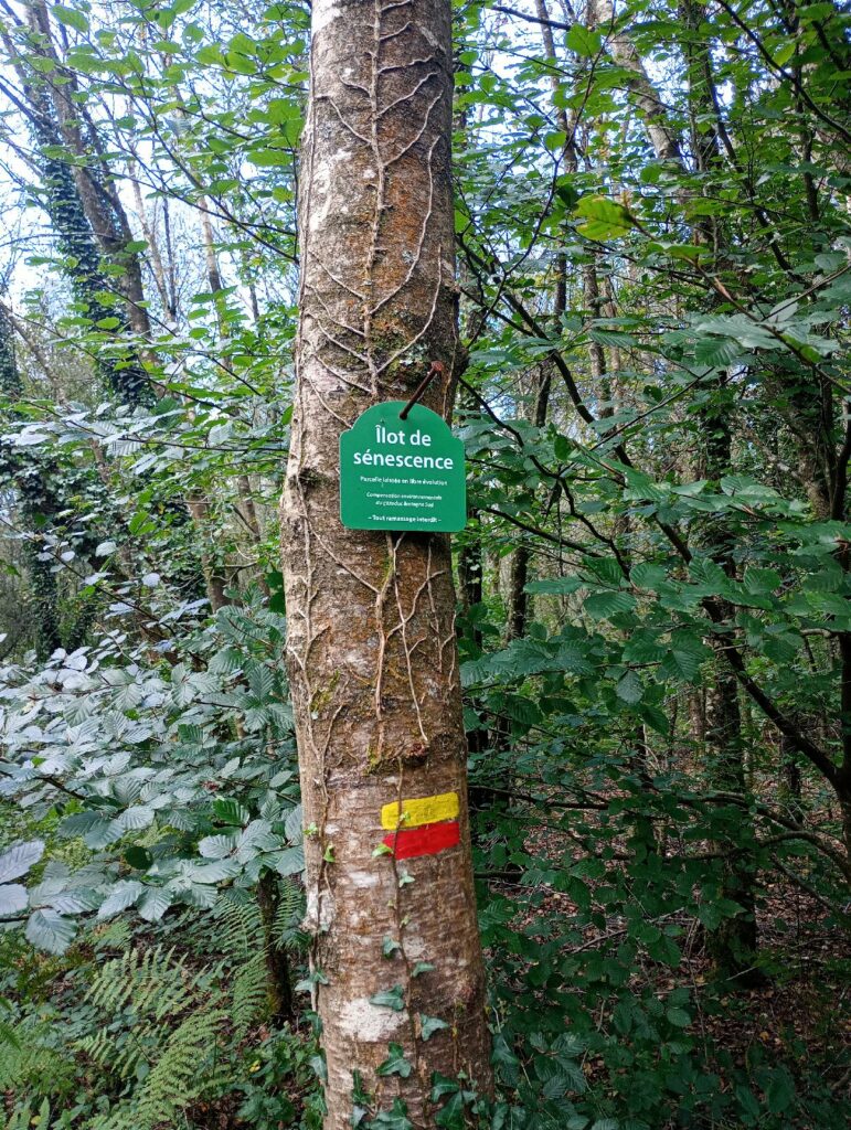 Suivi d'Obligations Réelles Environnementales