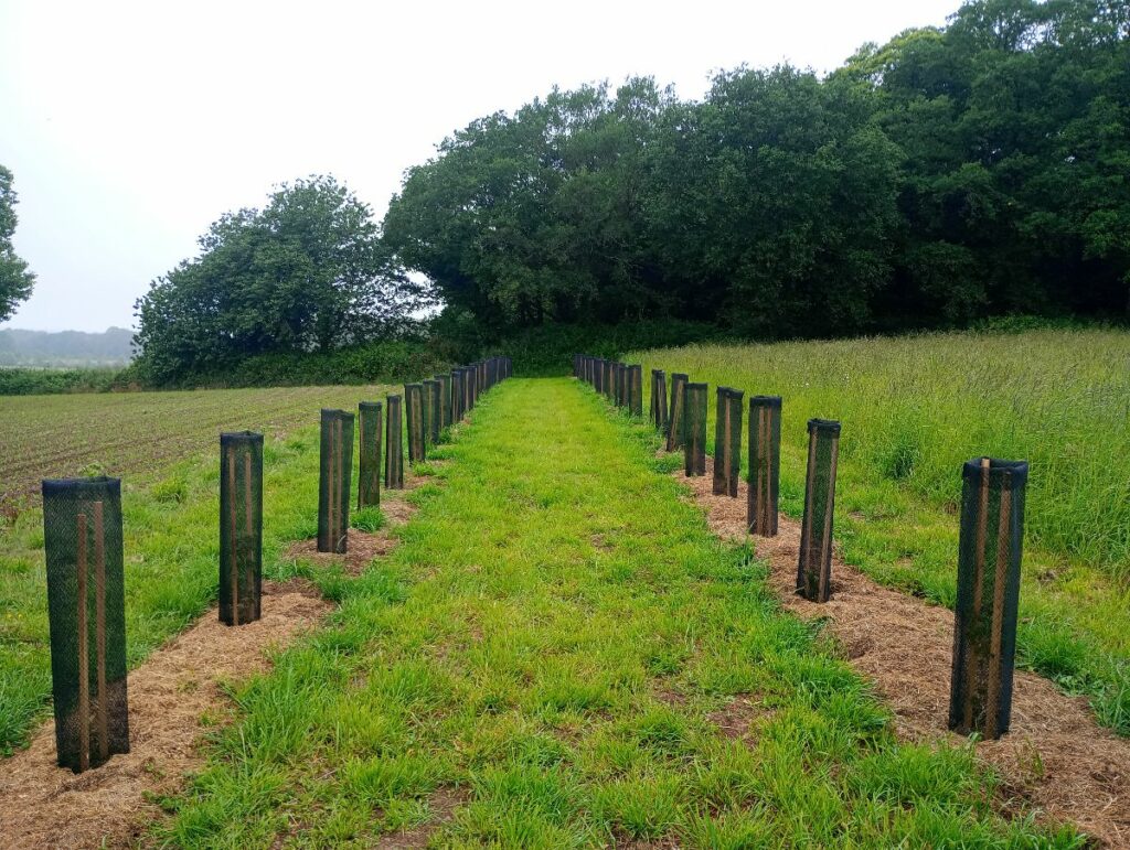 Suivi d'Obligation Réelle Environnementale