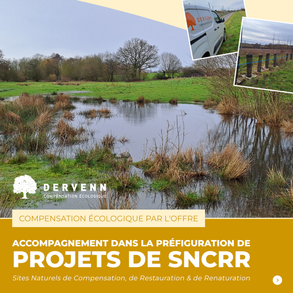 Accompagnement préfiguration SNCRR