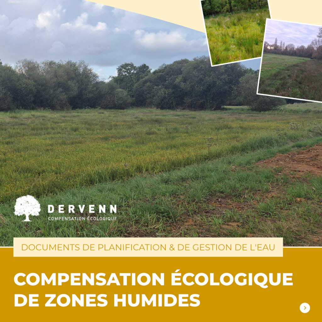 Compensation écologique de zones humides